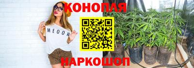 индика Ипатово