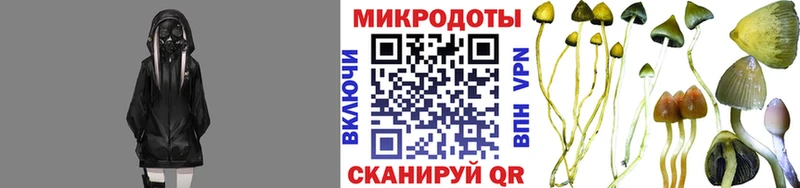 Галлюциногенные грибы мицелий Барабинск