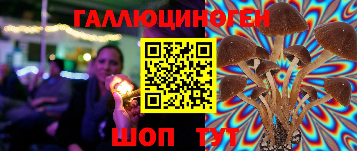 Галлюциногенные грибы ЛСД Барабинск