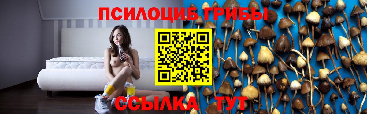 Галлюциногенные грибы Psilocybe  Вход с VPN  Барабинск  Галлюциногенные грибы прущие грибы 